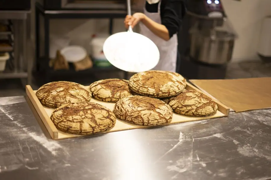 Round loaves turned out onto the bench