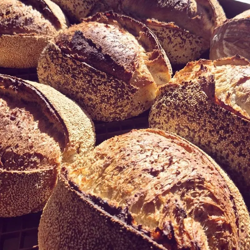 Elsa's Micro Bakery, a MyForno baker