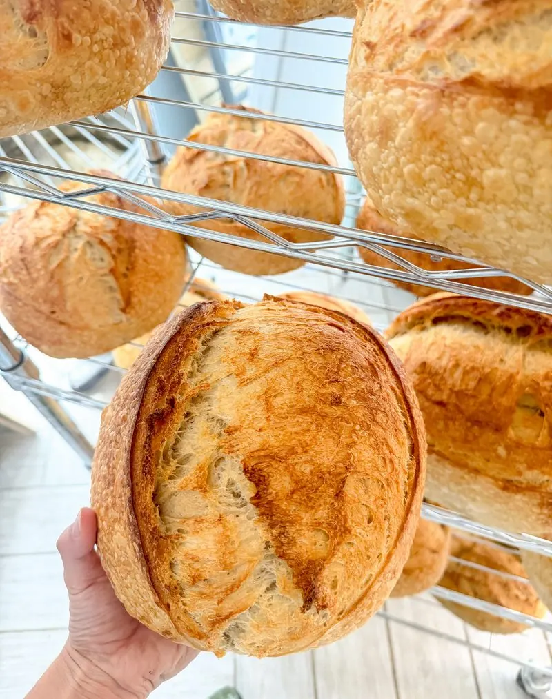 The Isla Collective, a MyForno baker
