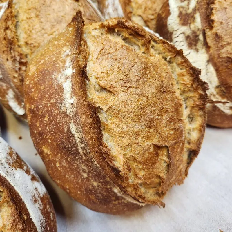 La Breaderie, a MyForno baker