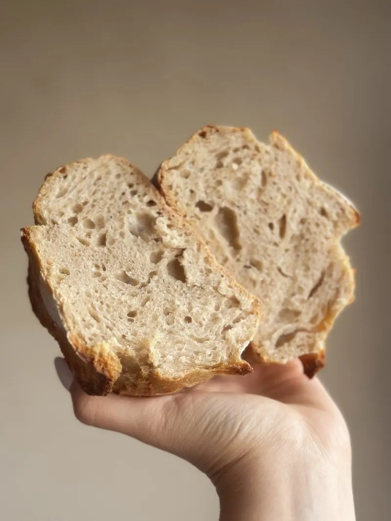 Loaf of My Life, a MyForno baker