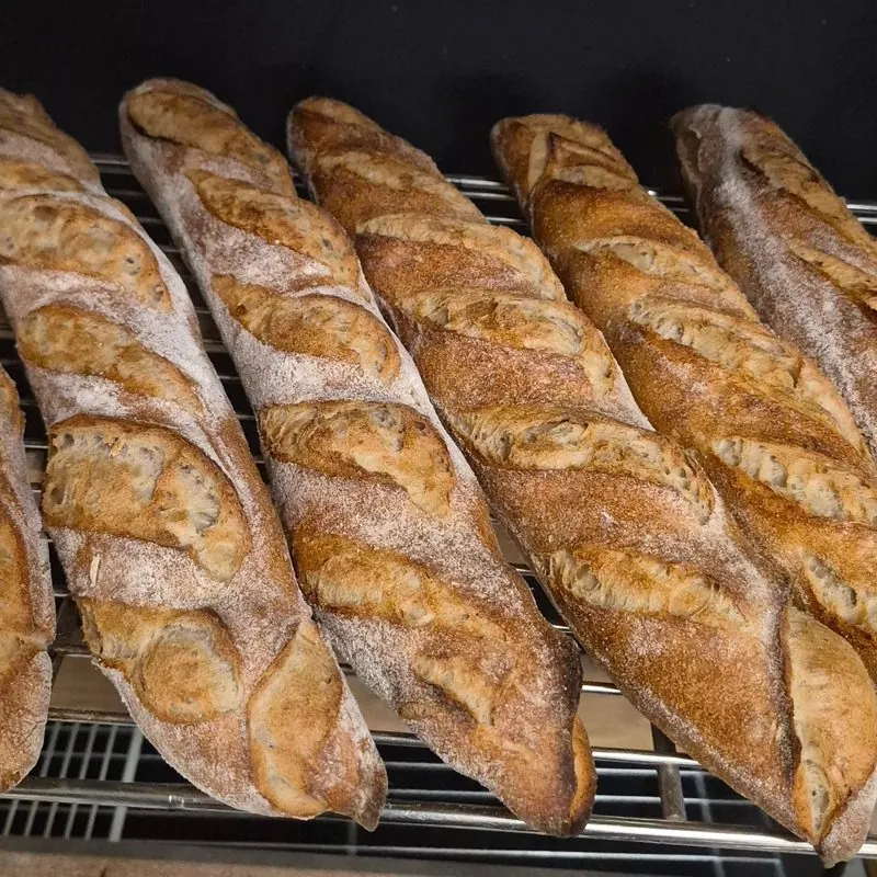 Pain Rustik, a MyForno baker