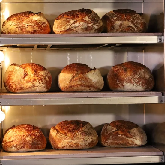 forno_2 forno_2